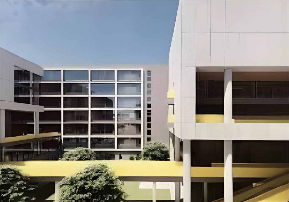 CIB International School